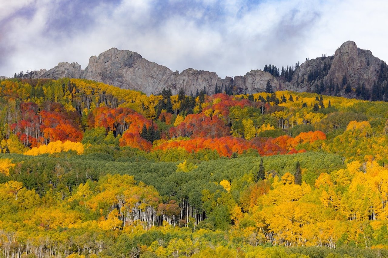 Kebler Pass in the Fall: Colorado’s Golden Wonderland