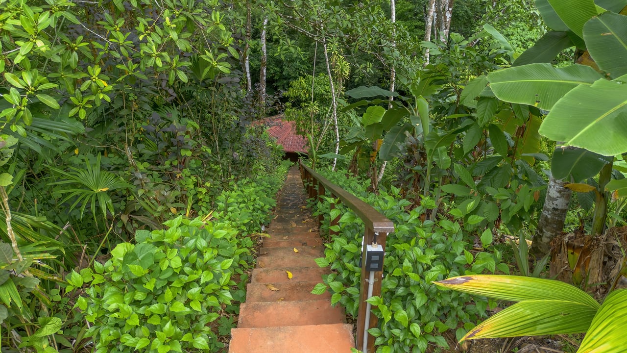 Waterfall Retreat with Casita & Build-Ready Lot in Cascada Azul, Baru