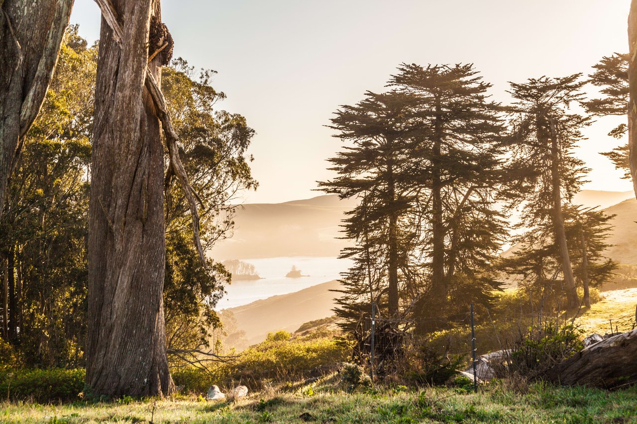 WildCare's Educational Programs in Marin County