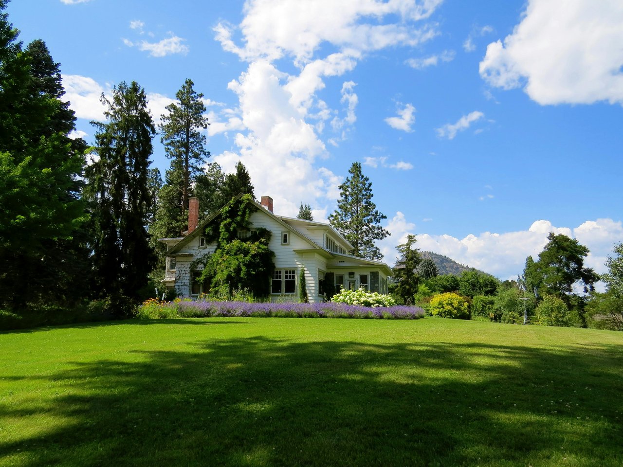 How To Keep Your Home Cool In The Summer — And Lower Cooling Costs
