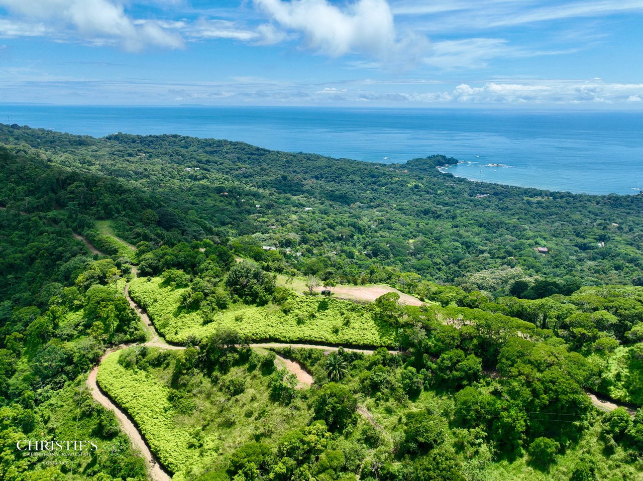 Luxury Farm Estate — 60 hectares of Breathtaking Views & Ultimate Privacy