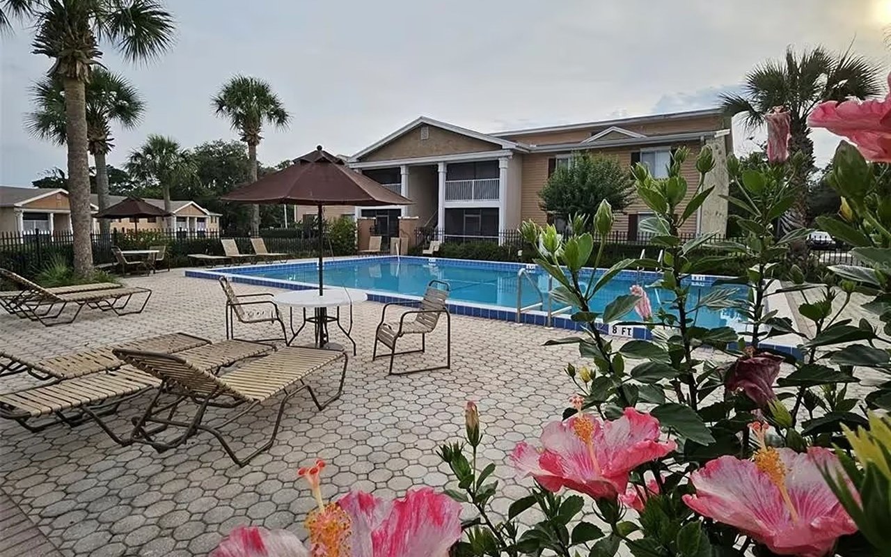 Apartment community pool with lounge chairs, palm trees, and flowering hibiscus.