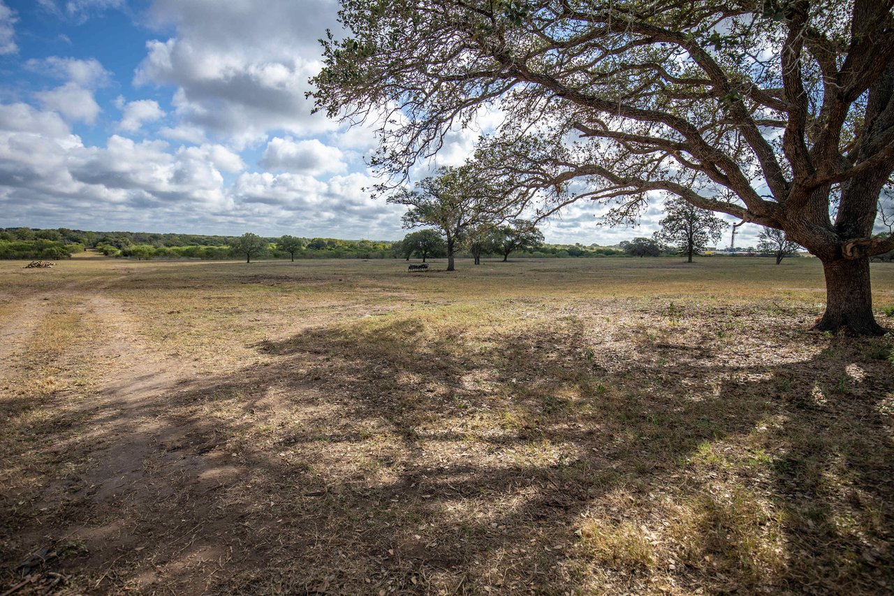 The Poco Loco | 278± Acres | DeWitt County
