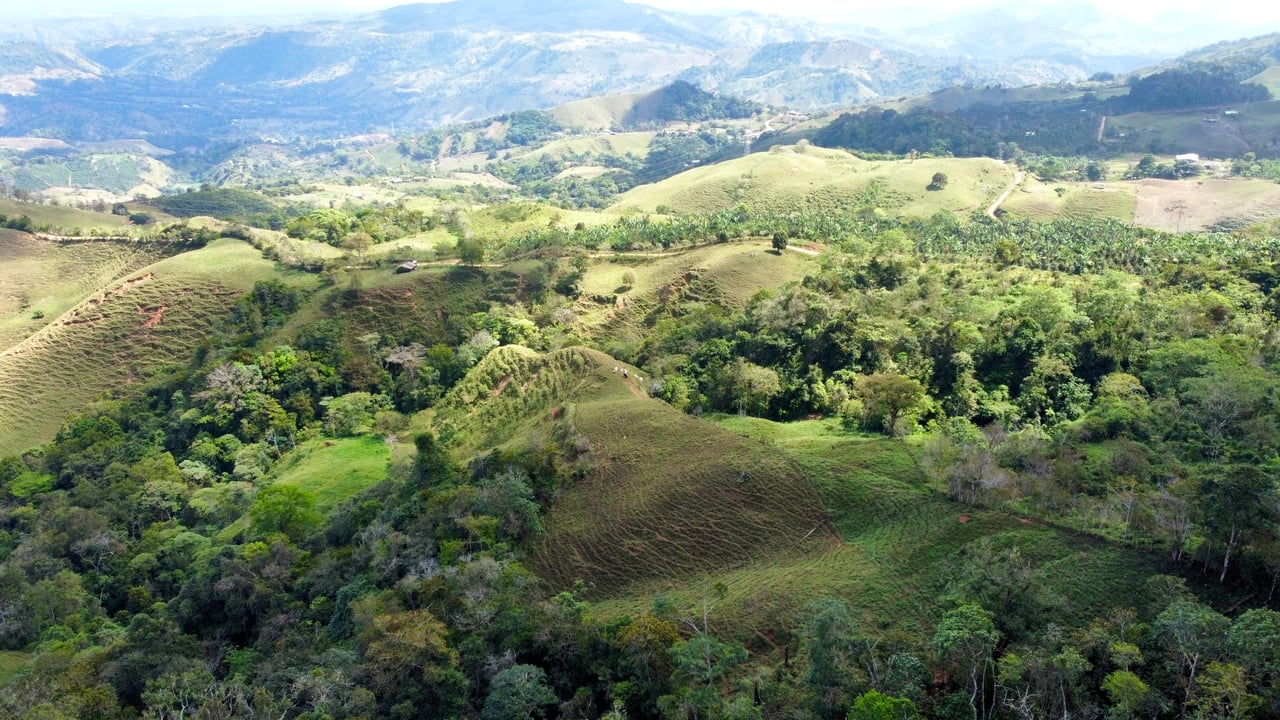 OVER 14 ACRES FARM IN ALTO DE GUADALUPE