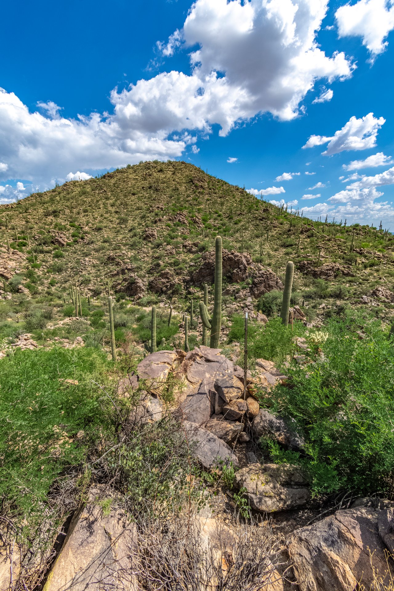 Lot #68 - 3455 Old Saguaro Ranch Road