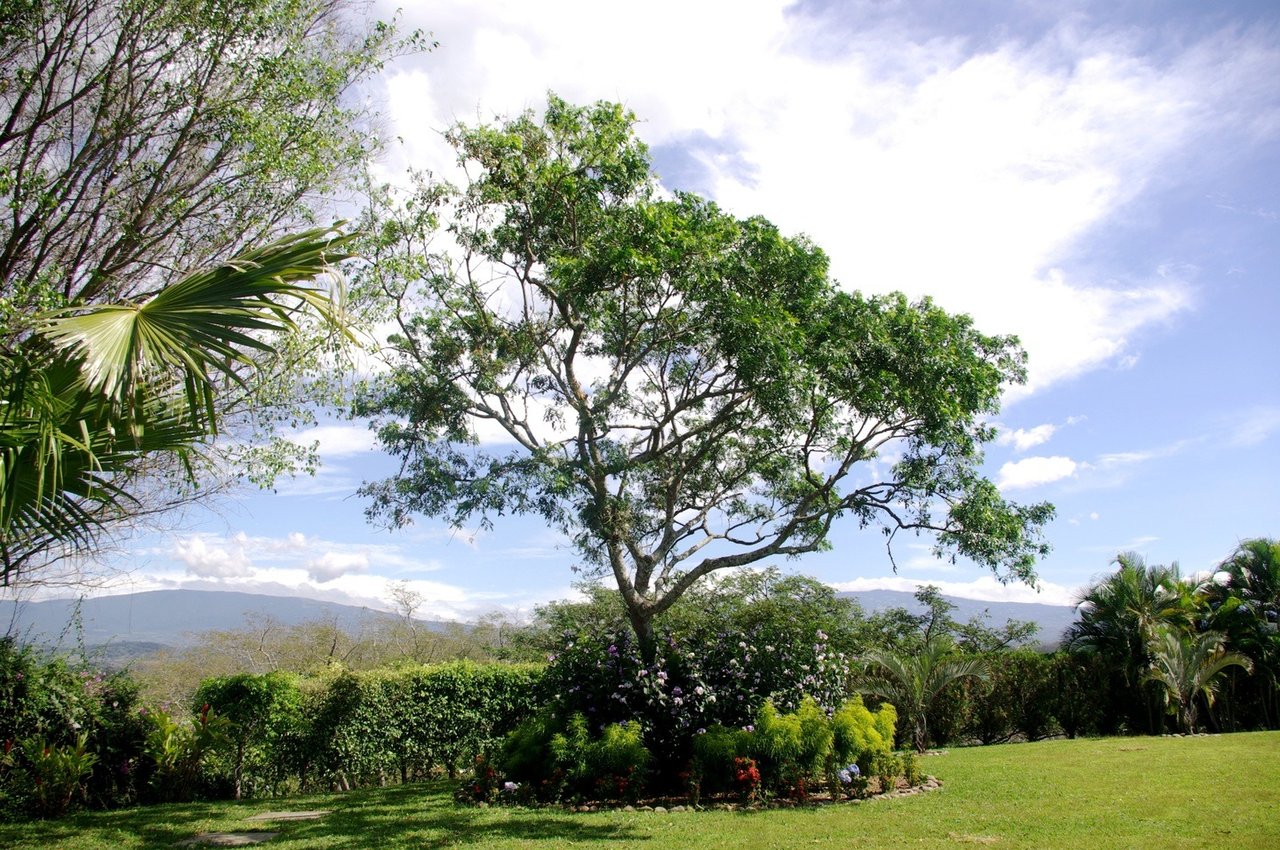 Luxurious Country Villa