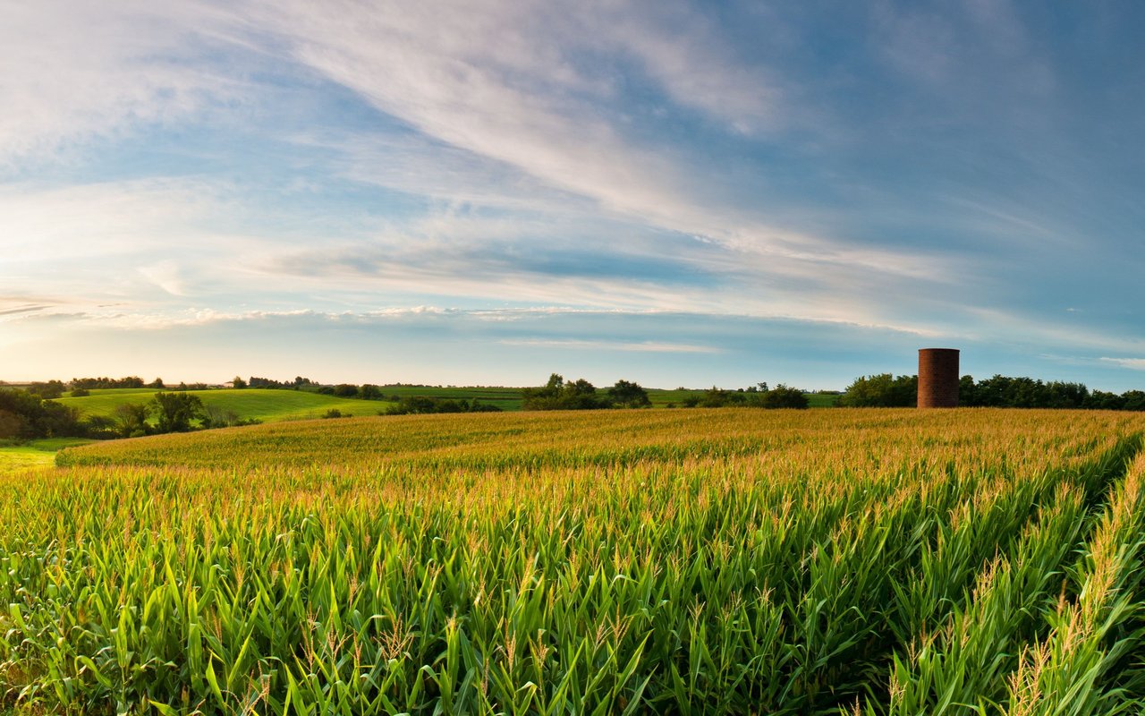 Iowa