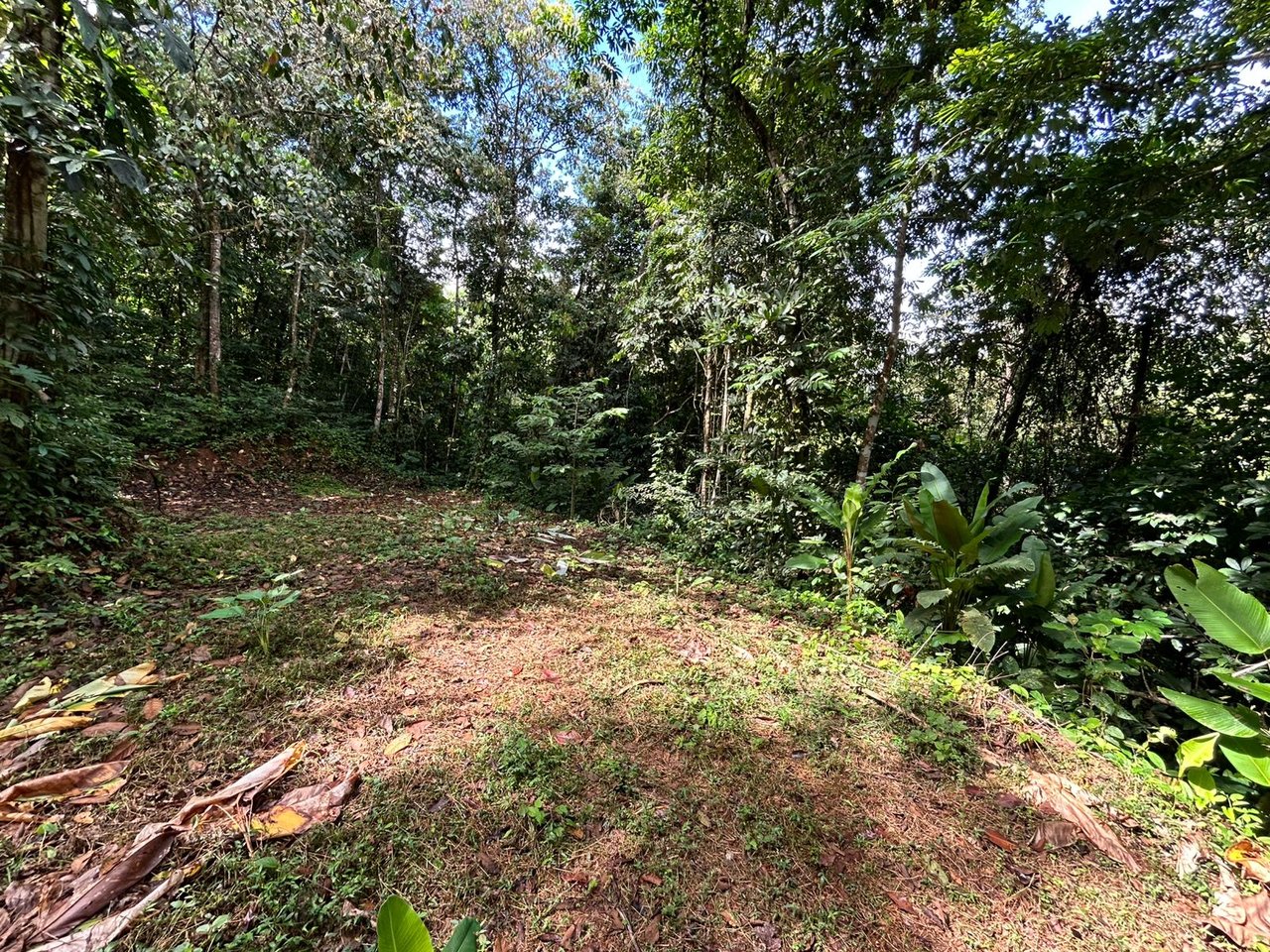 1.4-acre gated lot in Uvita.