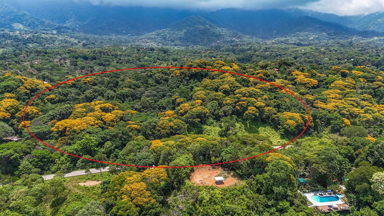 23-Acre Prime Highway Frontage Lot Near Ojochal & Ocean