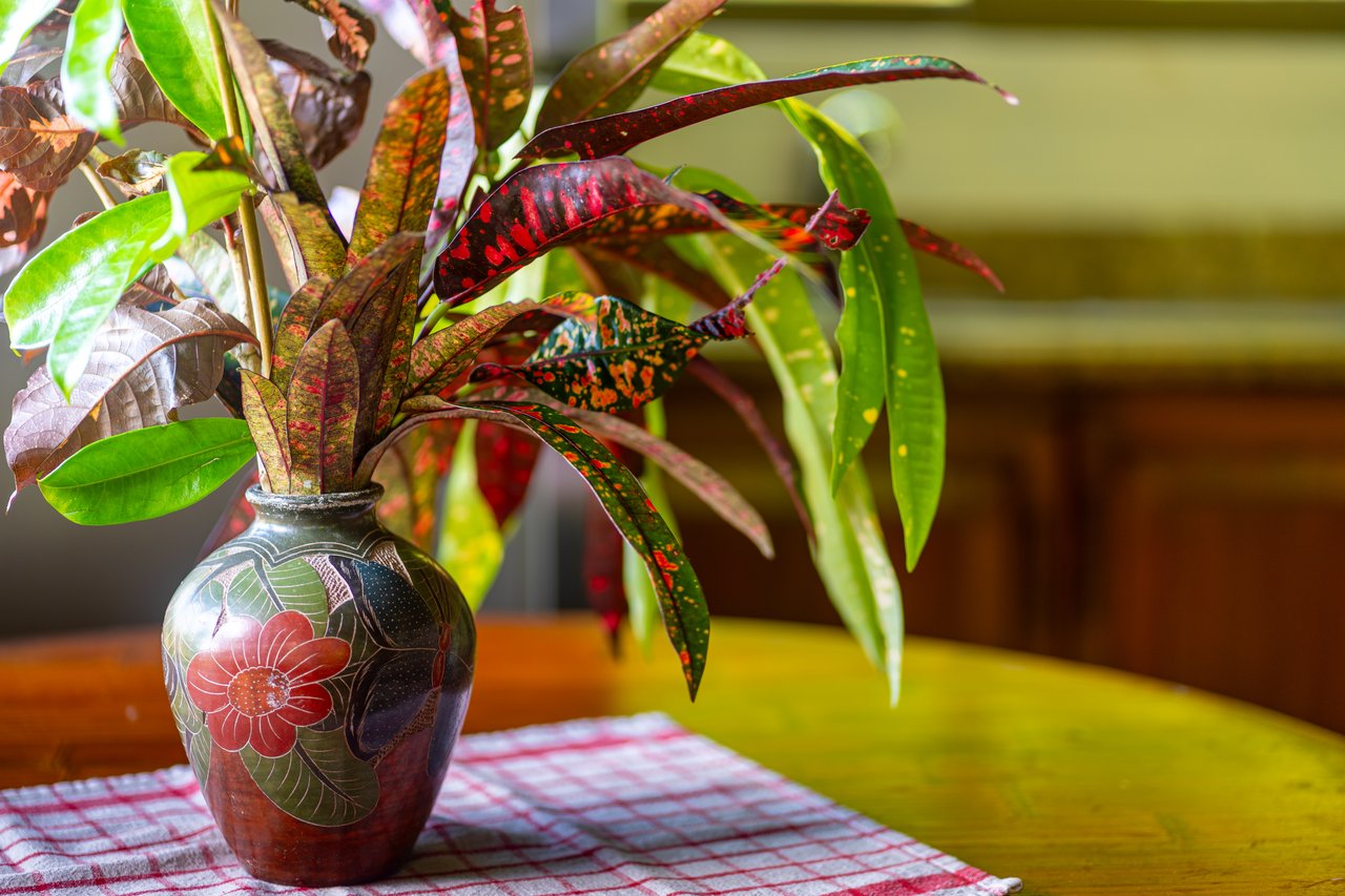 VILLA KRISTINA MARIA - 3.84 ACRES - PERLA DE BALLENA ESTATES