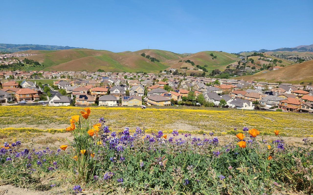 Livermore