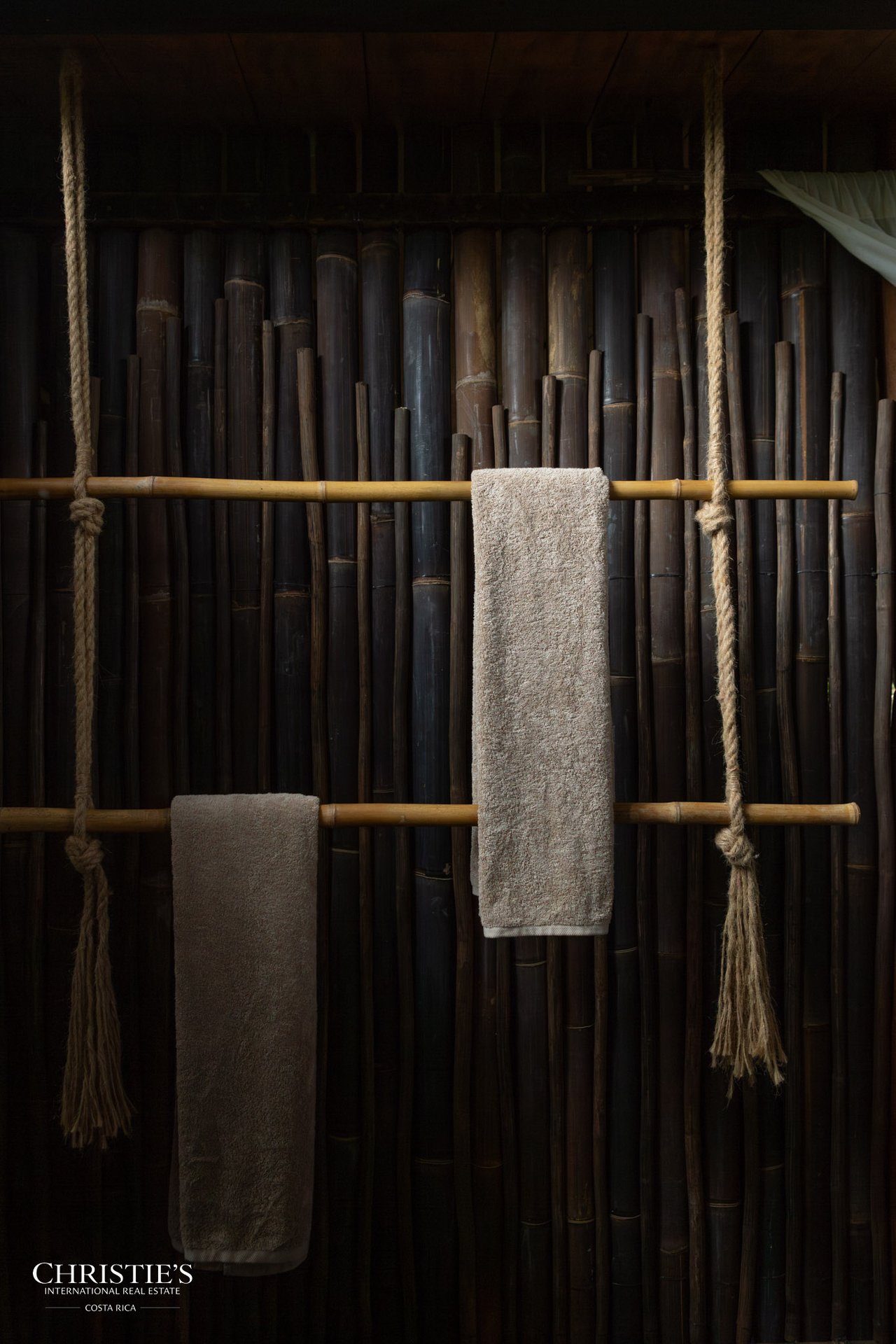 Villa Animales – Luxury Jungle Sanctuary