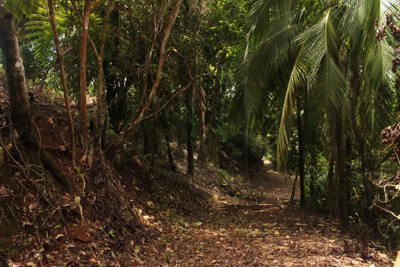 Income Producing Property with Ocean View close to Dominical