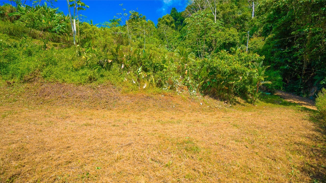 Flat Buildable Ocean View Lot, Ojochal, Puntarenas