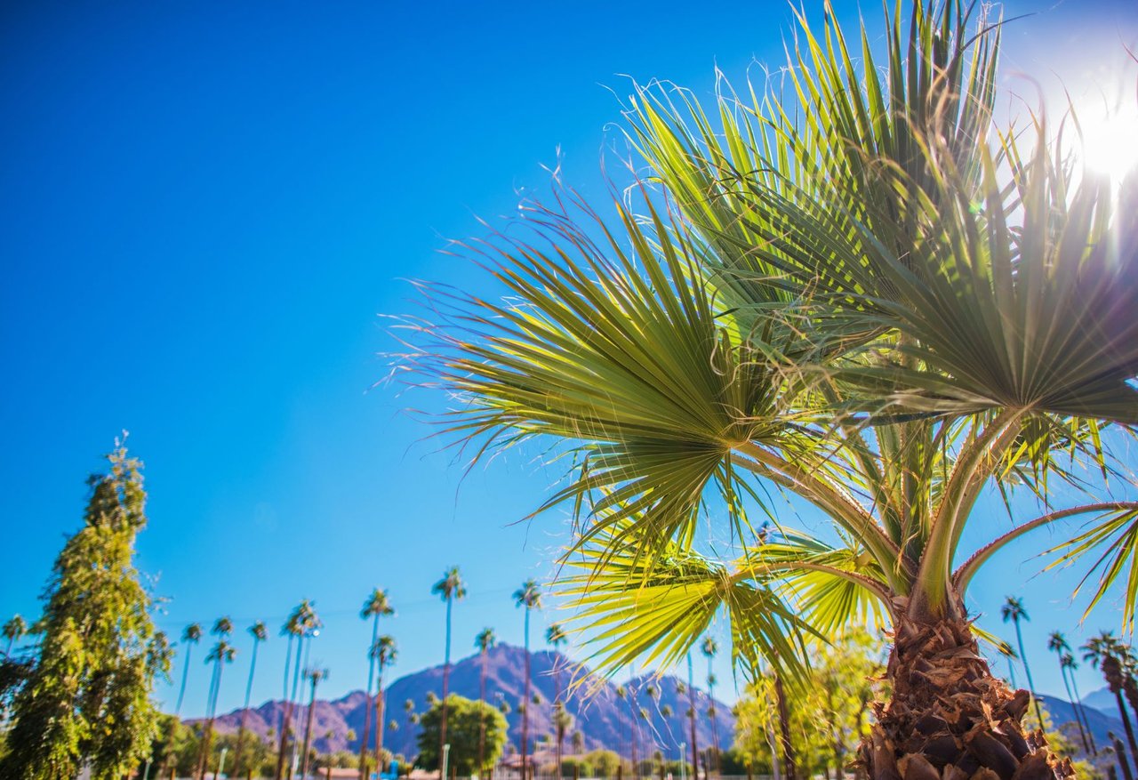 April 2026 in Greater Palm Springs: Festivals, Events & Desert Lifestyle at Its Peak