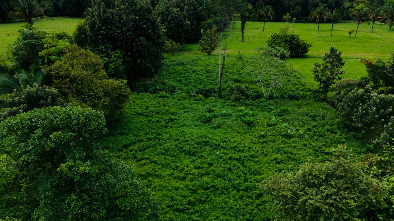 Strategic 5000sqm Commercial Property in Uvita: Perfect for any Business Vision
