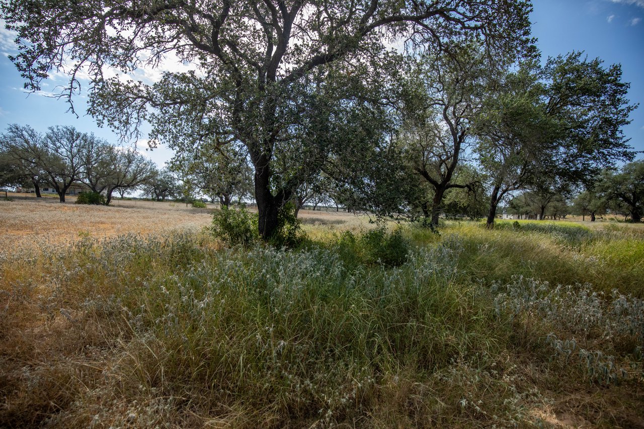 Oaks, Wildlife, & the Quiet of the Countryside | 26.99± Acres | Poteet, TX