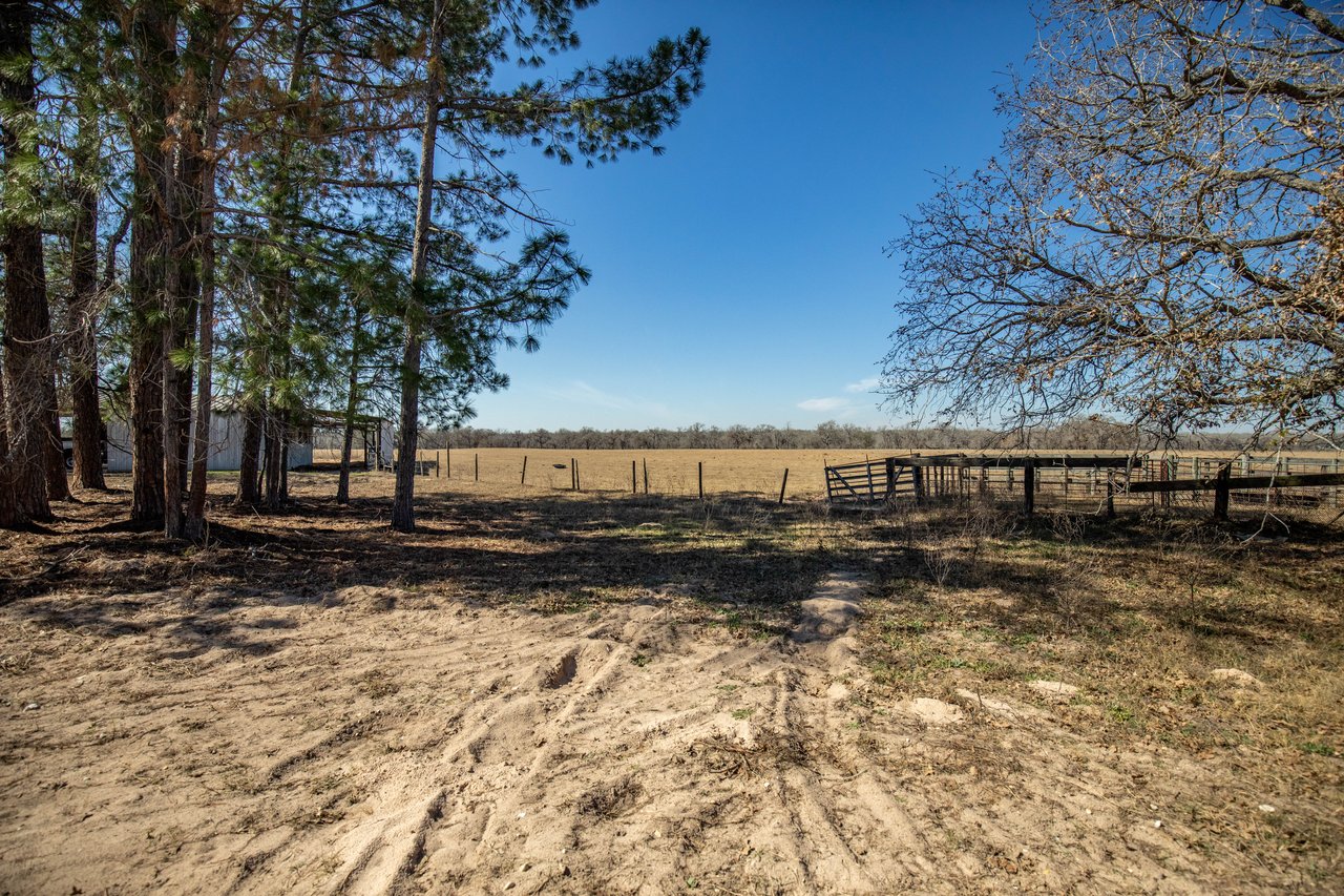Whispering Pines Floresville Ranch | 298± Acres | Wilson County
