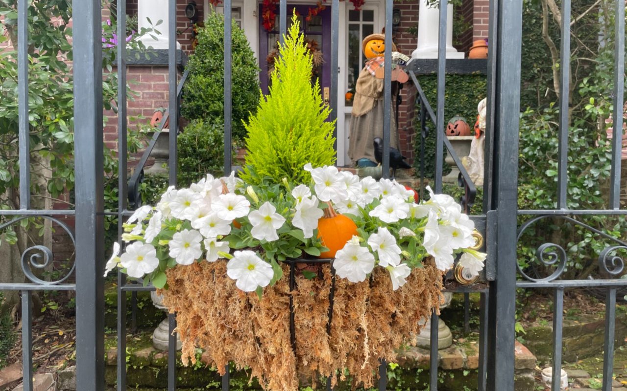 Fall Events in the Lowcountry