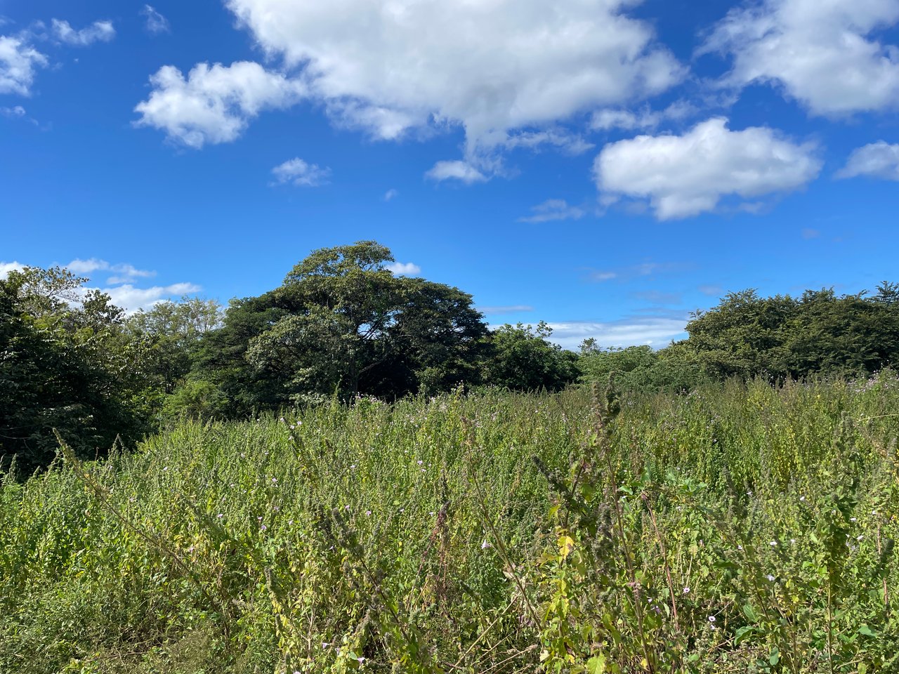 Private Jungle Estate Land in Vistas de Flamingo, Guanacaste, Costa Rica
