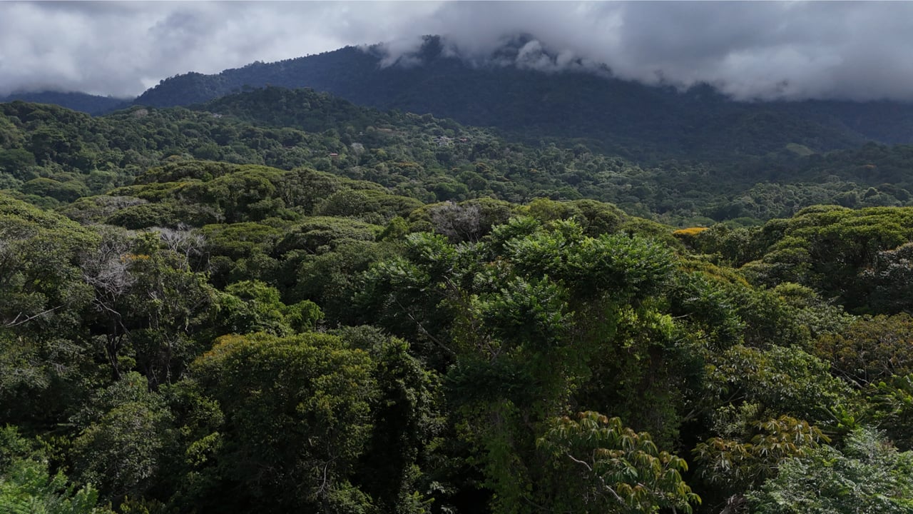 Secluded Ocean View Development Land, Ojochal, Puntarenas