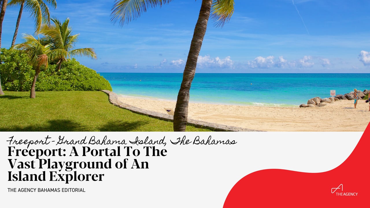  A beautiful beach scene shows a vibrant turquoise ocean meeting a sandy shore.