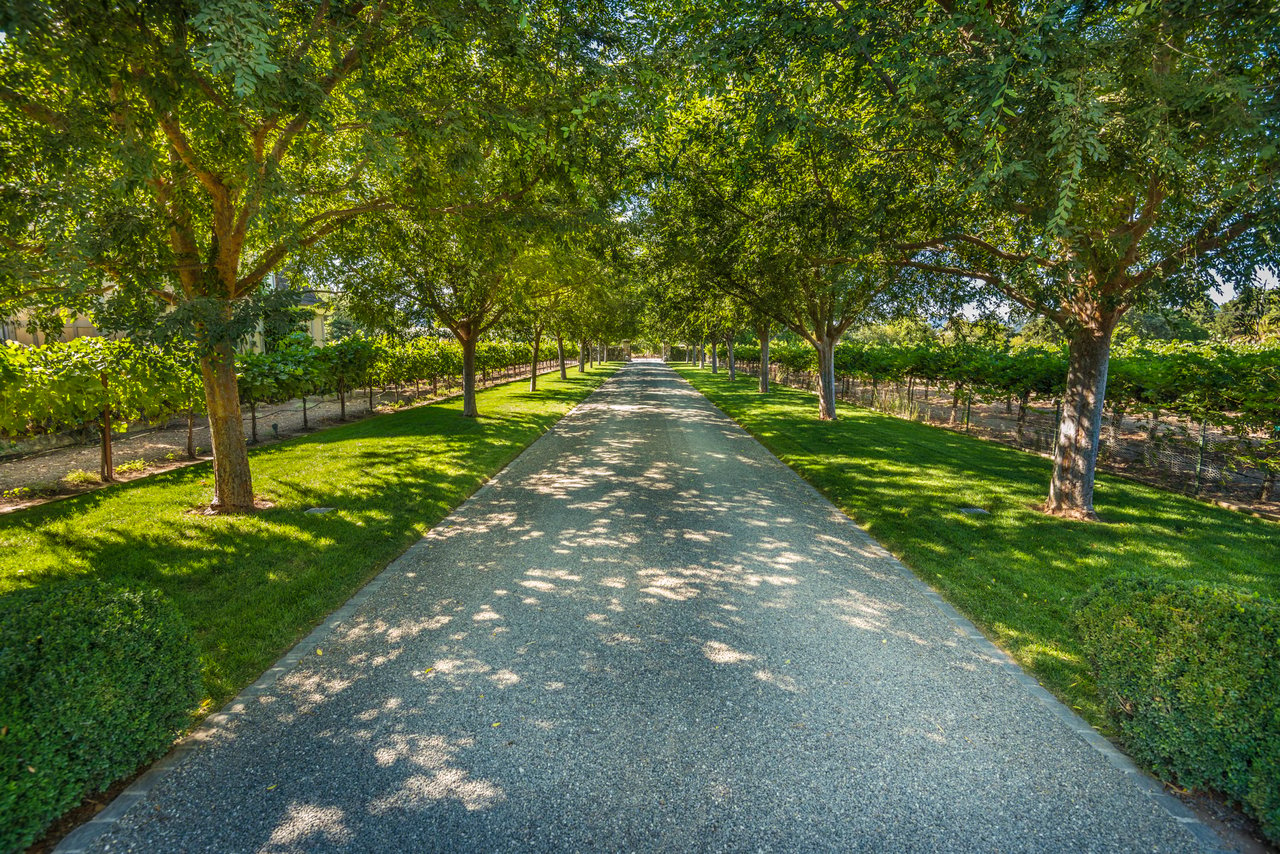 Inglewood Avenue, St. Helena