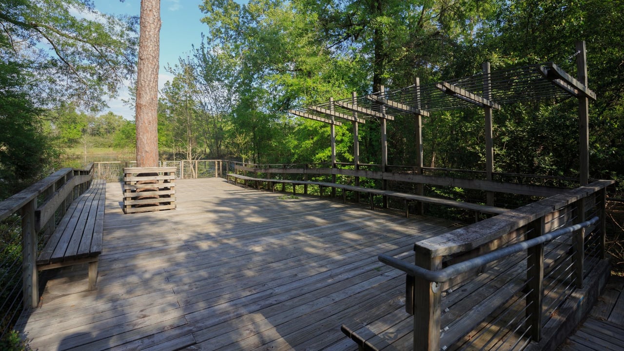 The Woodlands