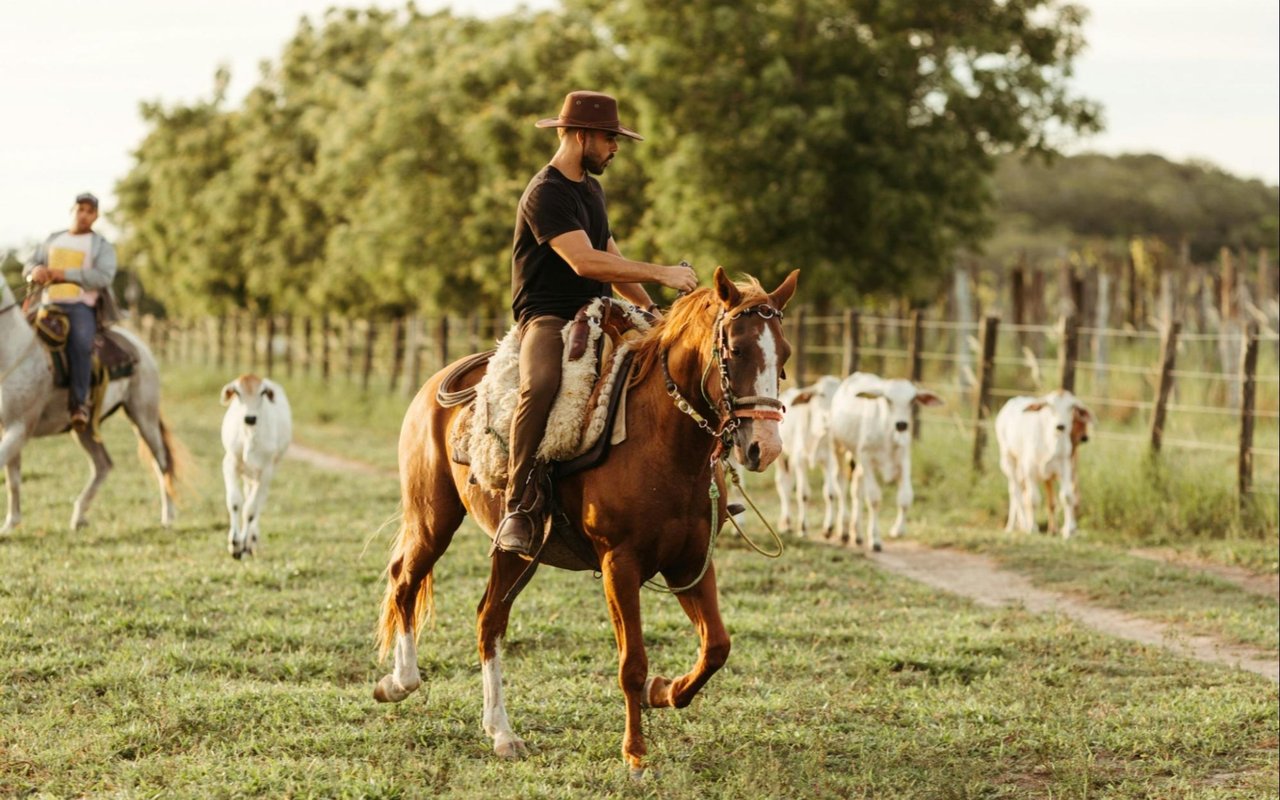 Luxury Meets Legacy: The Elevated Texas Ranch Lifestyle