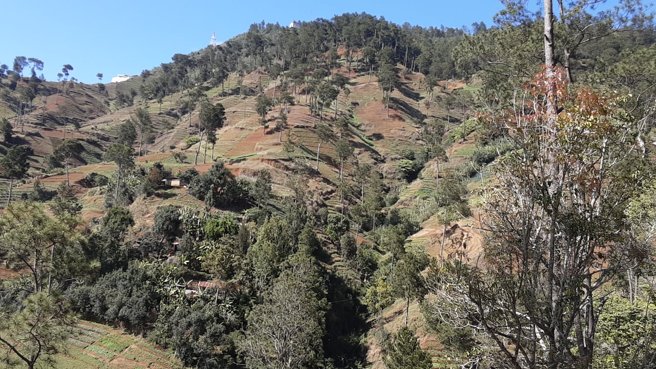13.48 Acres (approx) of Prime Mountain Land in Morne Obleon (Furcy), Haiti