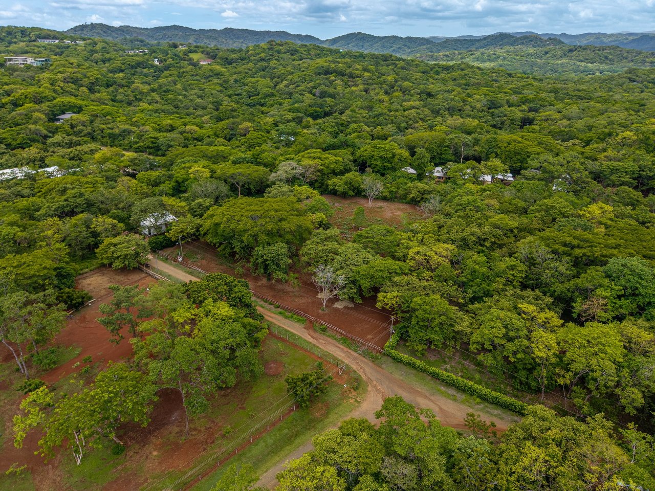Hammock Plantación | Spacious Agricultural Land Near Playa Negra