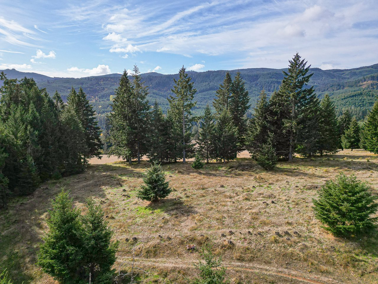 Panther Creek Homestead