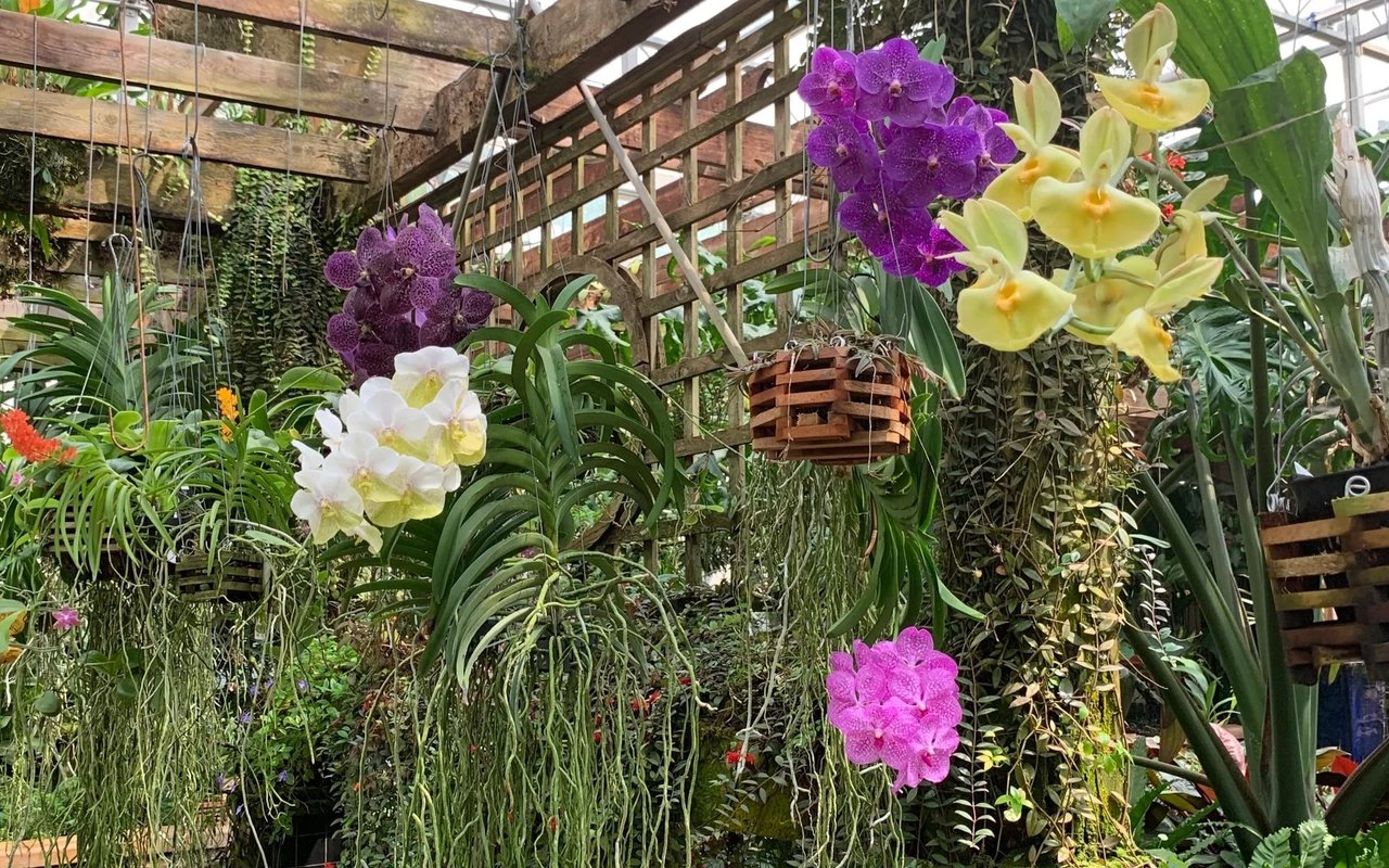 Atlanta Botanical Garden, A Lush Escape In The Heart Of Midtown
