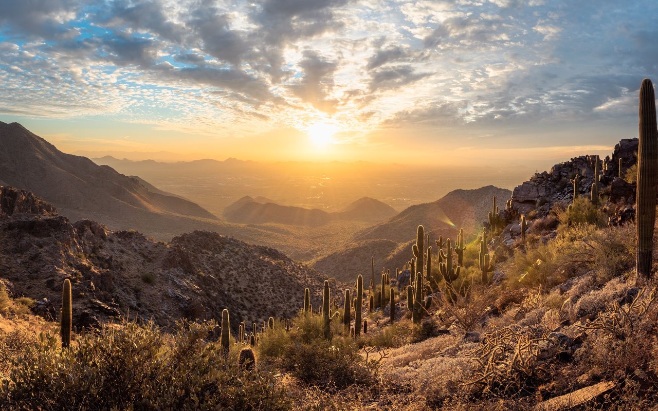 Scottsdale