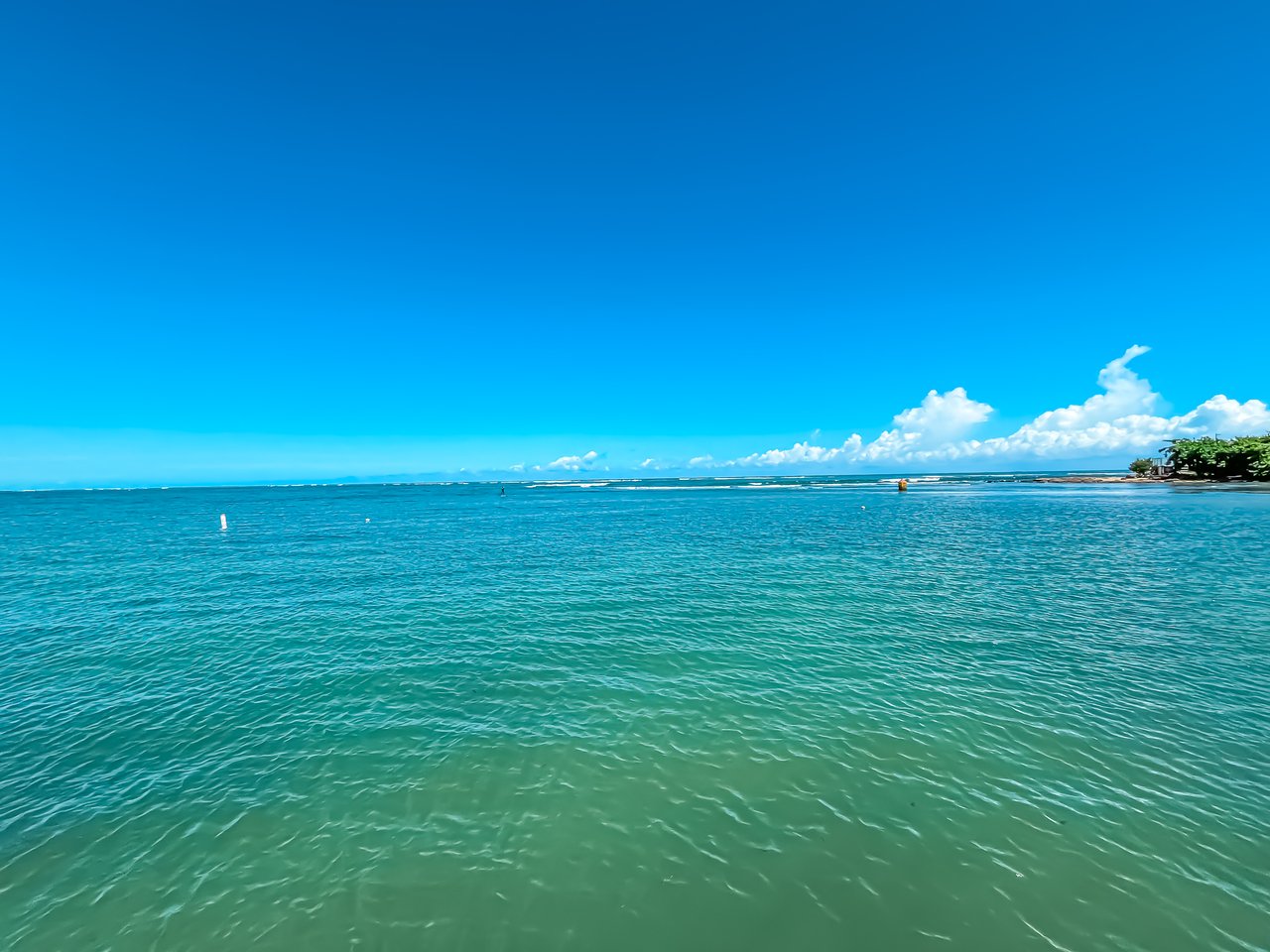 Dorado del Mar A9