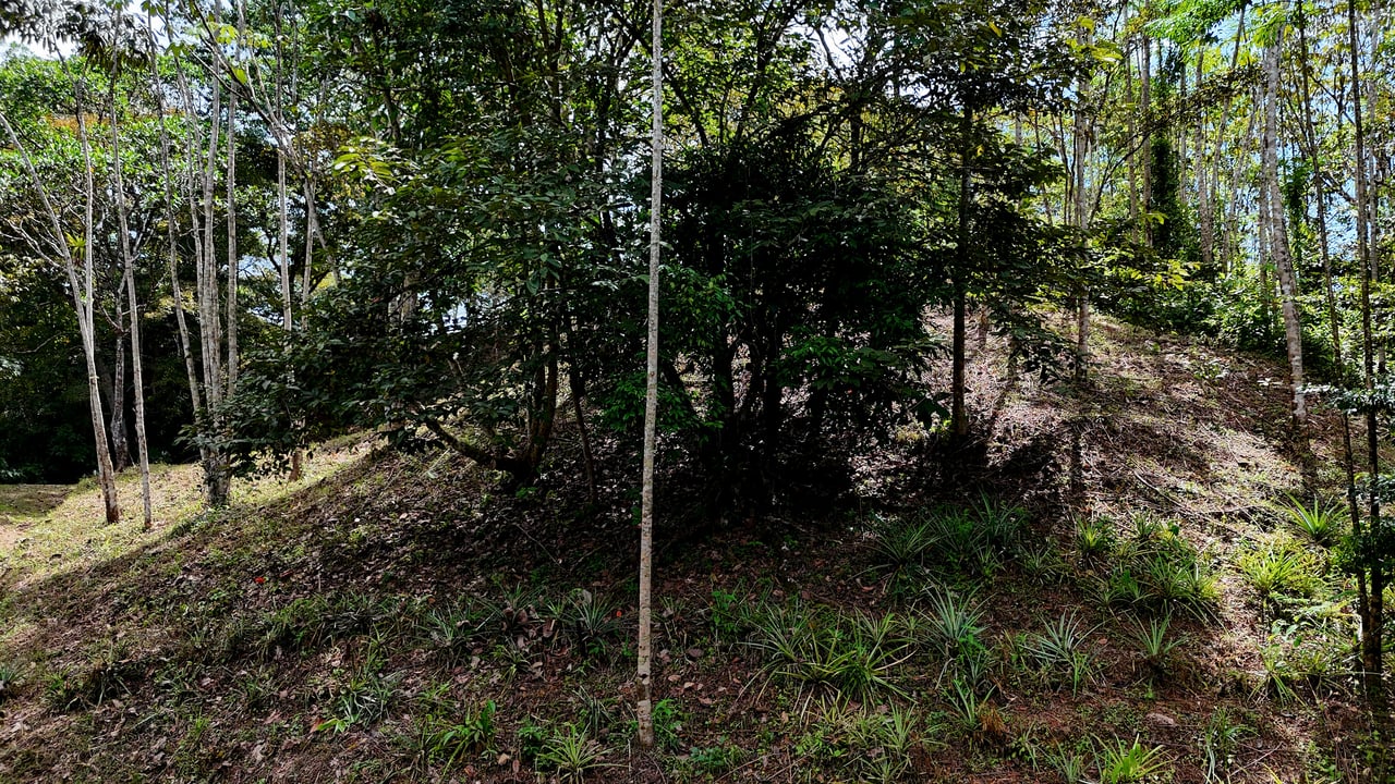 Beautiful mountain view land located in a quiet community in Ojochal. 