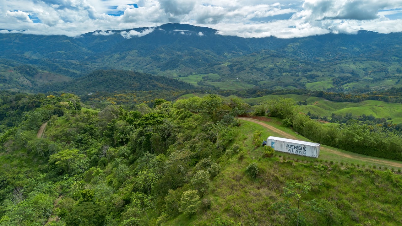 60 Hectares in Platanillo 