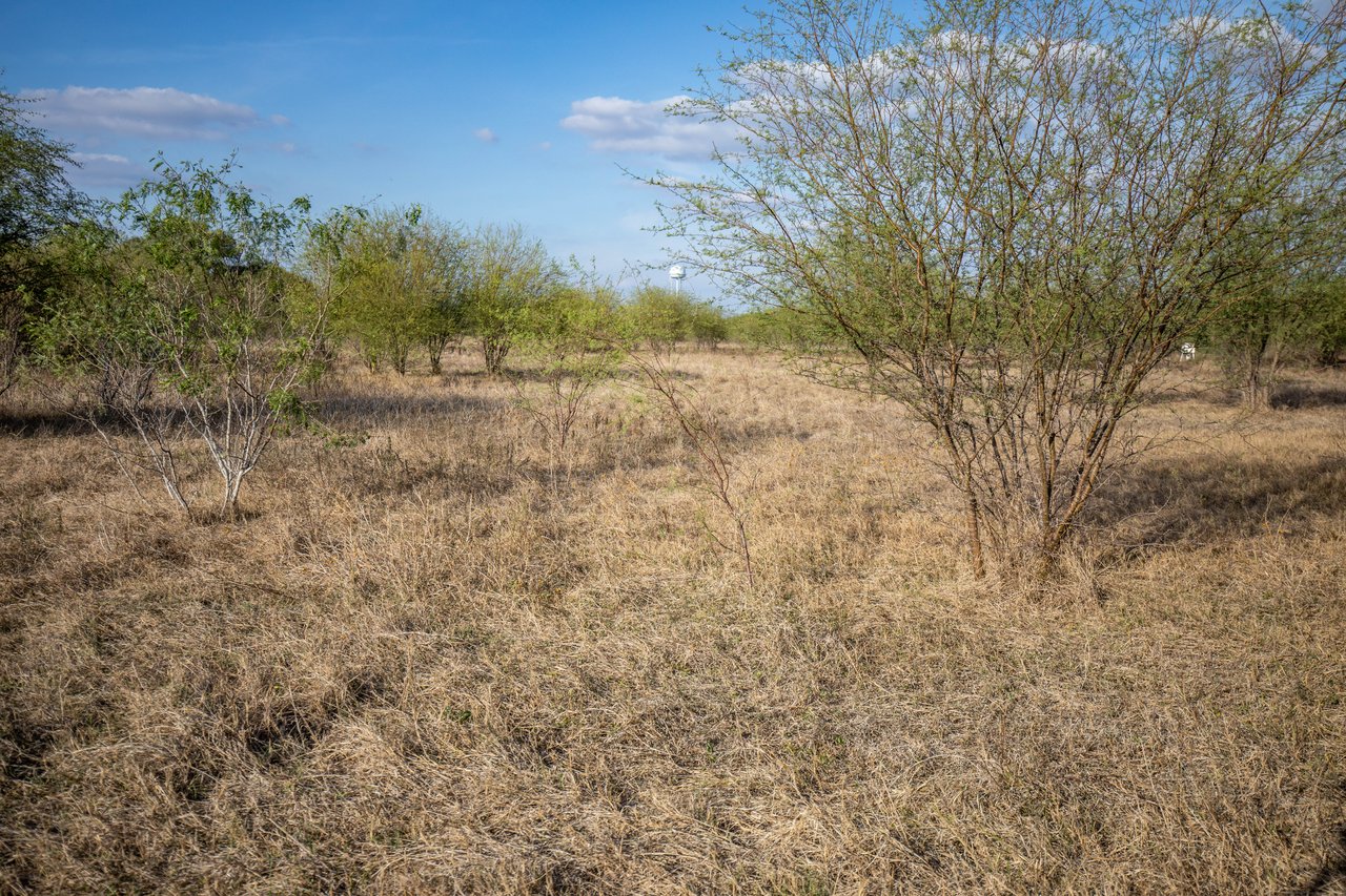 1019 Tulley Road | 45.86± Acres | Cuero, DeWitt County, TX