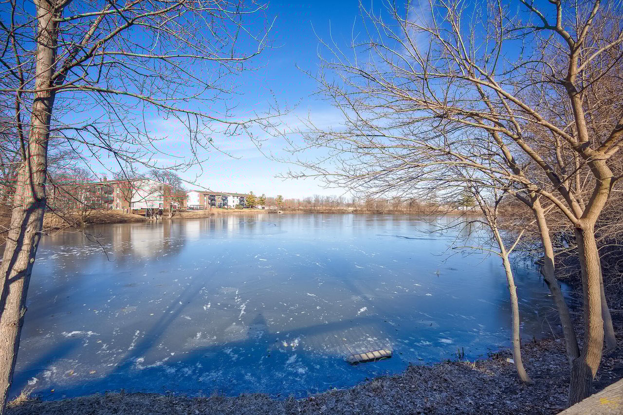 Highest and Best Due for 1705 Lakecliffe Dr Unit D Wheaton