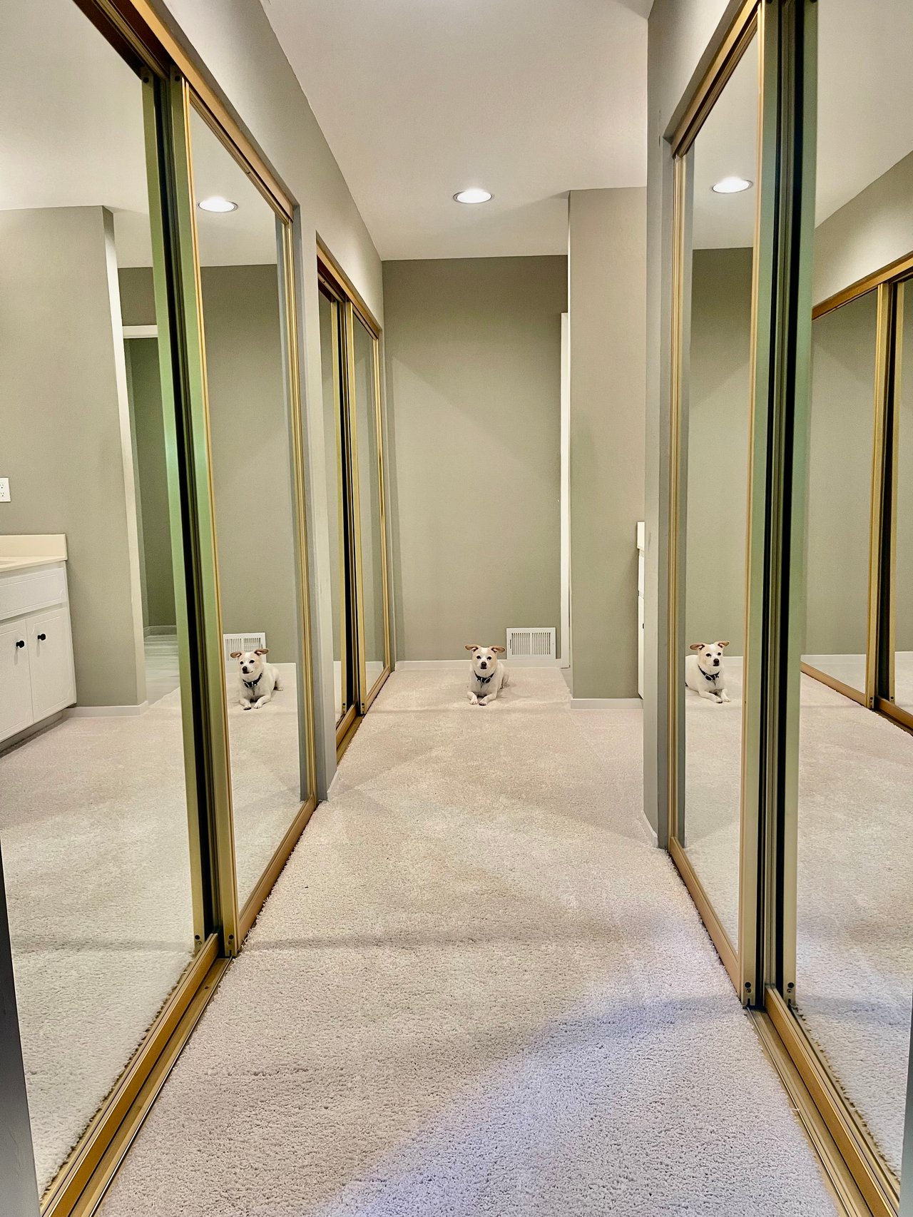 Orinda Woods Opportunity