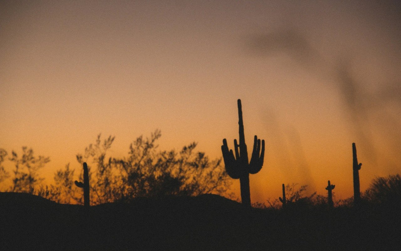 A Guide to Queen Creek, Arizona Neighborhoods