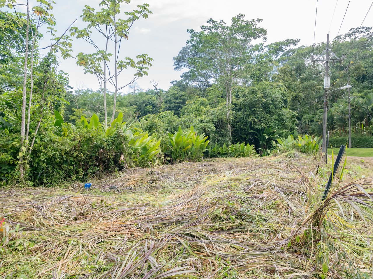 Bamboo Forest Estates – Prime Lots for Sale in Uvita, Costa Rica | Riverfront Land with Utilities