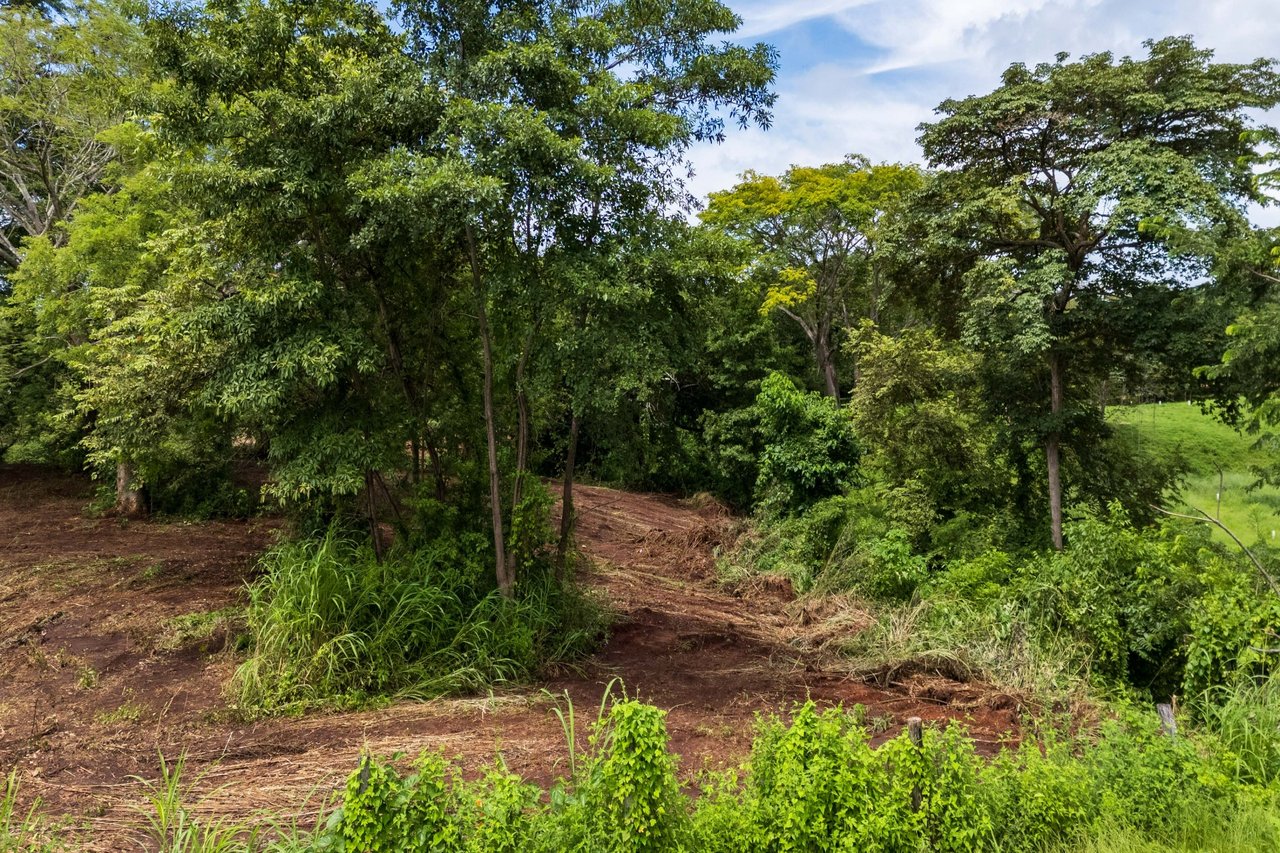 Lot Across Mar Vista , Playa Brasilito, Guanacaste