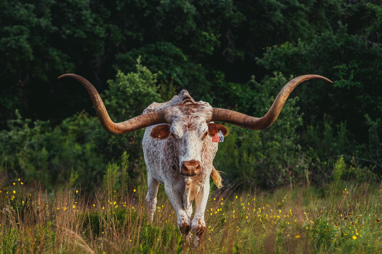 1934 N Walnut Springs Rd