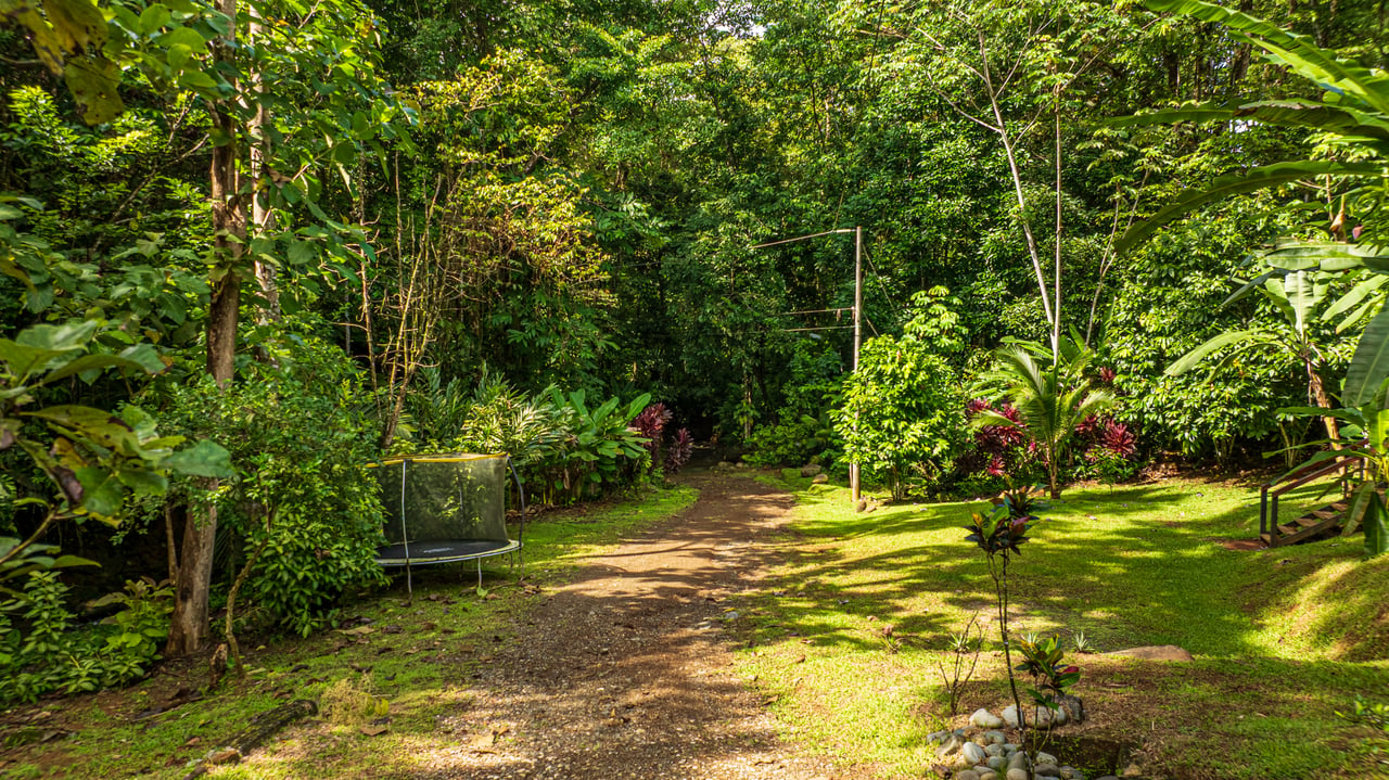 A Jungle House Built of Wood & River Dreams