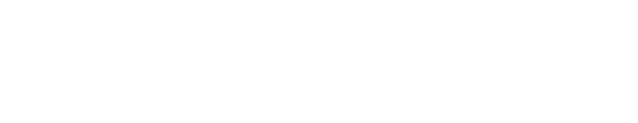 Light Logo