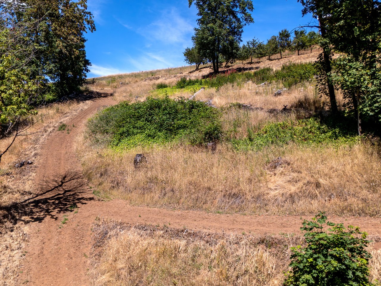 7777 SW WINTERS RD