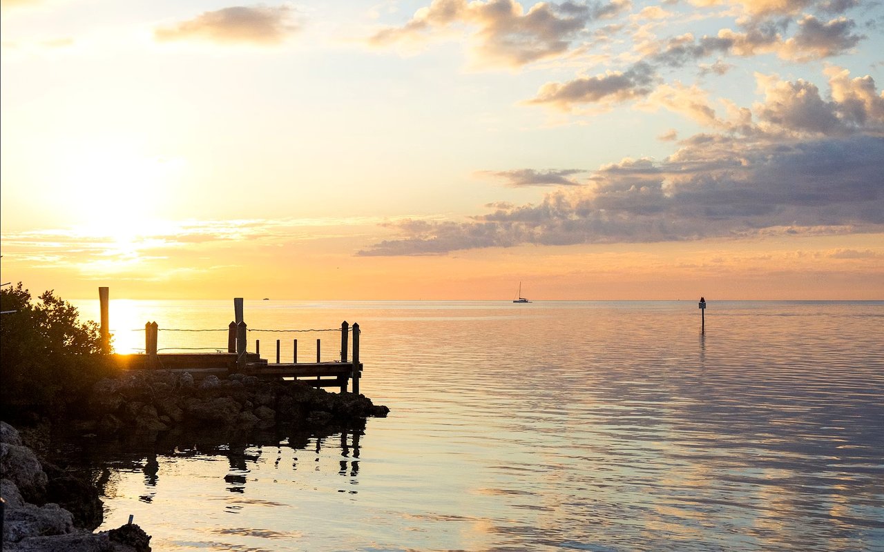 Top Tips for Fishing in Manatee County