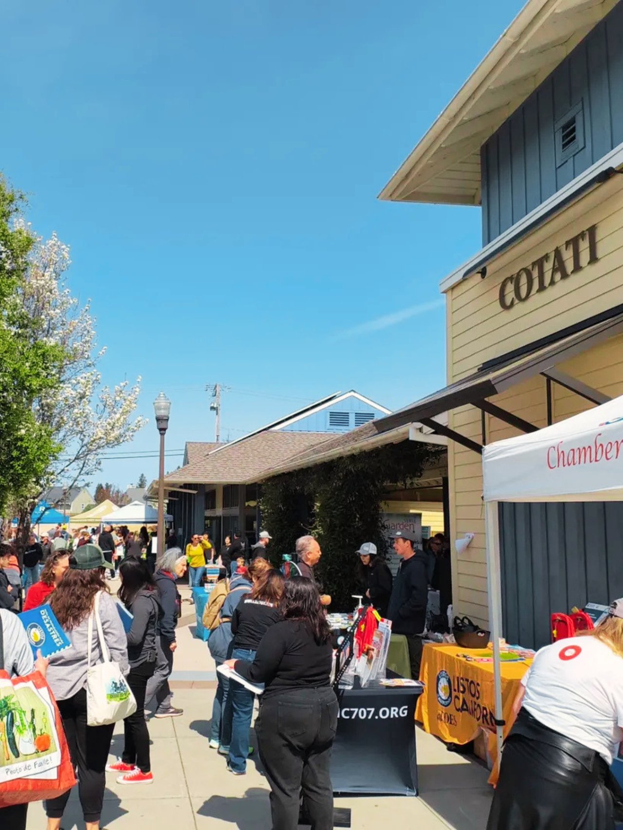 Spring Climate Ready Cotati Fair with local vendors and community activities