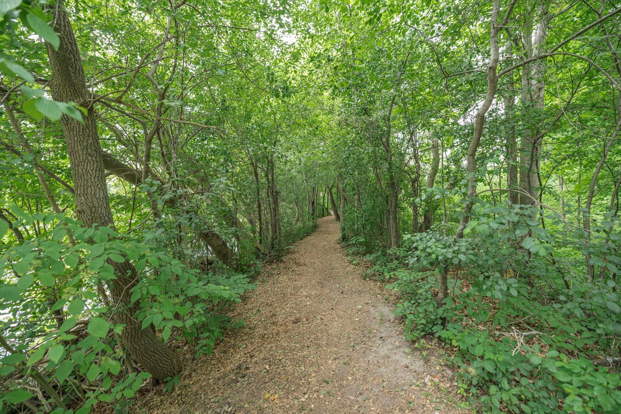 119 - 900 Bogart Mill Trail 